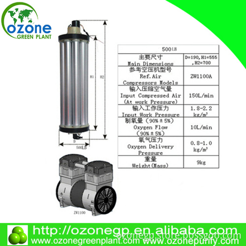 zeolite alumina 30 lpm generator twelve towers oxygen